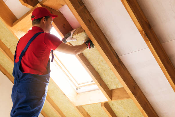 Best Insulation for New Construction  in USA